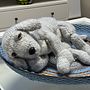 Sheep-puppy . DIY, Arte din fibre, Tricotat și Design textil de Daphna Vamos - 09.22.2025