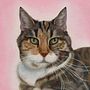 Oil-Painted Pet Portraits . Seni Rupa proyek oleh Amber Boyne Fernandez - 03.03.2026