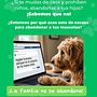 La familia no se abandona: campaña animalista. Cop, writing, Creativit, Marketing, Advertising, and Content Writing project by Sara Castaño Giraldo - 03.24.2026