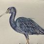 Garza Azul  . Pictură în acuarelă de Laura Alvarez - 04.04.2026