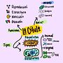 Infografía simple de concepto de célula . Comunicação, Consultoria criativa, Criatividade, Gestão de design, Desenho, Marketing, e Design de apresentação projeto de Cristina Jimenez - 07.04.2026