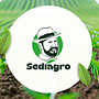 Diseño de slides para Powerpoint y Canva. Un progetto di Graphic design di hndzjoseph - 26.07.2026