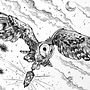 Mystic Feathers book illustrations . % Ágnes Erdei-Gulácsi tarafından hazırlanan Geleneksel illüstrasyon, Ve Grafik Tasarım projesi - 08.22.2026