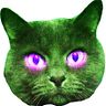 Any Kat