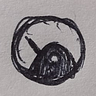 collibrii