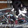 teknitian_cat