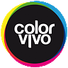 Color Vivo Internet