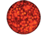 Comunica +A