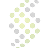 SOTEC CONSULTING