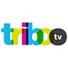 tribo