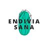 Endivia Sana