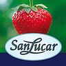 SanLucar Fruit