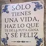 carla-allendes-soza