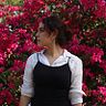 vany_gzz