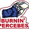 Burnin Percebes