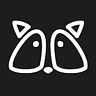 raccoonstudio