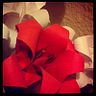 lola_b