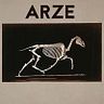 Arze Arze