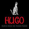 Hugo Barcenas Tejedor