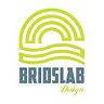 Bridslab