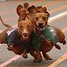 Berenguer Verdú