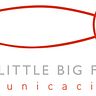 THE LITTLE BIG FISH