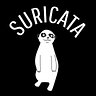 Suricata Lab
