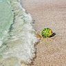 Eva Va Es