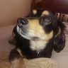 Chichi Estrada