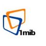 1MIB