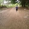 Slater Villavicencio