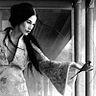 Fabiola Bird