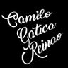 Camilo Gatica Reinao