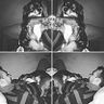 María Franch Hernández