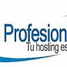 Profesional Hosting