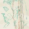 Yosets Quintana Alcoser