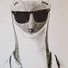 Robby Driga
