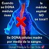 Noe Cruz