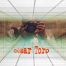 César Toro