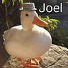 Joel Josafat