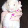 Karín Venegas