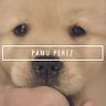 Pamu Perez