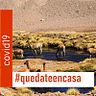 Antofagasta Photograpy