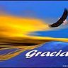 Aguilas En la Cima