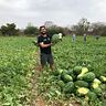 Gilberto CF