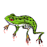 Funkyfrog Cartoon