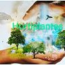 HortiPlantas Hidroponia
