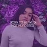 Sinaí Quintas