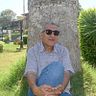 Nasr Alfy