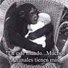 Litdt Tinoco